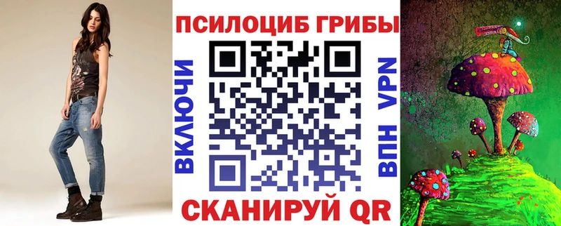 KRAKEN ТОР  Астрахань  Галлюциногенные грибы Psilocybine cubensis 